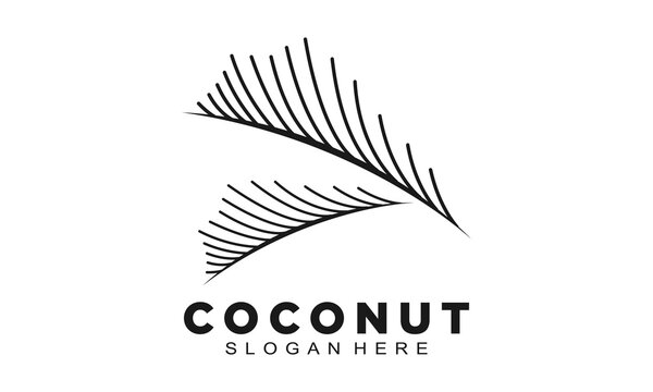 Black coconut leaves symbol design vector