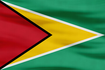 Guyana Flag - Green, Yellow, Red Triangles with Black and White Borders