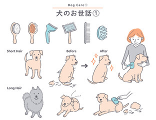 犬のブラッシングに関するイラストセット