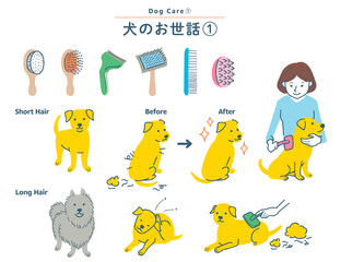 犬のブラッシングに関するイラストセット