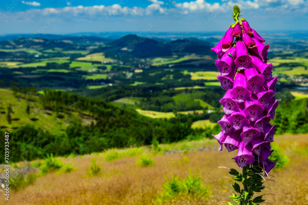 Wall mural Summer views of the Beskydy landscape