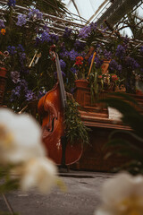 Plants and instruments