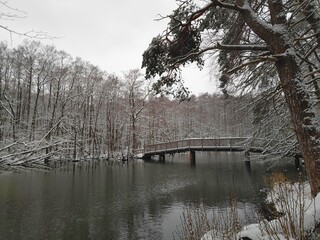 Holzbrücke im Winter