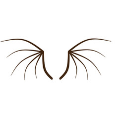 dragon wing bone skeleton