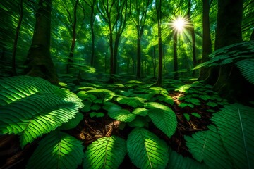 Sunlight filtering through a canopy of emerald leaves, casting intricate patterns on the forest floor.