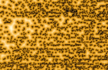 Drawing showing bacteria and virus