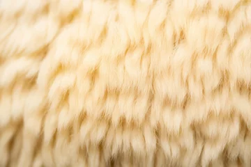 Deurstickers close-up of llama wool texture © studioworkstock