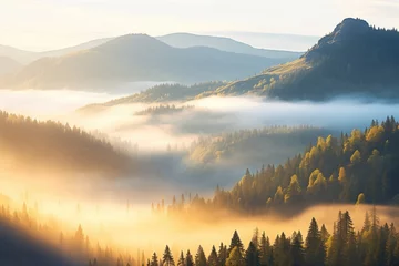 Fototapete Morgen mit Nebel fog enveloping a mountain forest at sunrise
