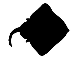 Skate silhouette vector art white background © Rabia