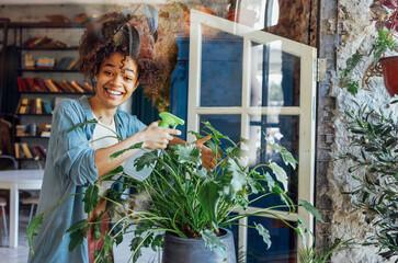 Young Afro American woman plant lover taking care of houseplant - obrazy, fototapety, plakaty