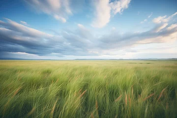 Foto auf Acrylglas vast grassland with storm clouds gathering above © studioworkstock