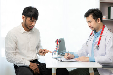 Doctor counseling of male patient with suspected bacterial prostatitis Prostate disease and treatment Anatomical model of the male reproductive system in the hands of a doctor.