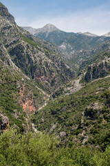 Naklejka premium 2023-Grece-0724