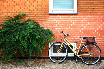 bicycle in front of a brick wall