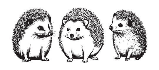 Hedgehog in silhouette collection. Vector illustration.