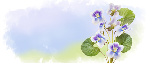 Blooming blue flowers on watercolor sky. Photo collage. Sping purple pansy blossom flowers flying on background of drawn landscape. Spring concept horizontal banner with copy space. Place for a text - obrazy, fototapety, plakaty