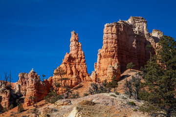 Fototapeta premium Scenic Winter Landscape in Bryce Canyon National Park Utah