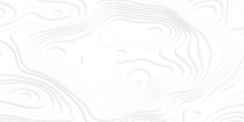 Fototapeta na wymiar White paper wave geometric banner futuristic technology modern background. Abstract white shiny wave vector background.
