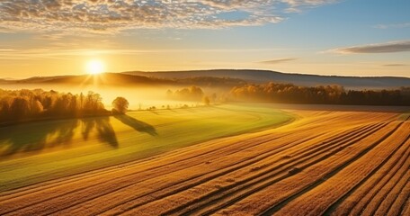 Fototapeta premium Drone view of autumn field at sunrise. Generative AI