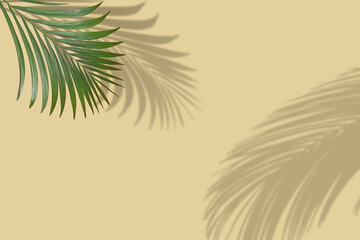 Summer beach concept with tropical palm leaves and shadows on sand color background. Minimal sunlight tropical layout.