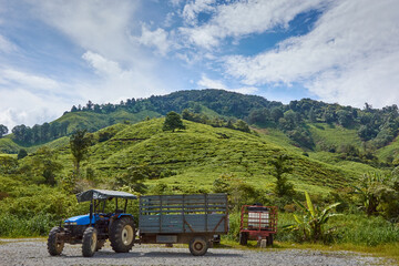 tractor ready towork in the tea plantation horizontal