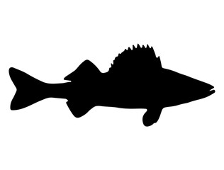 Walleye fish silhouette vector art white background