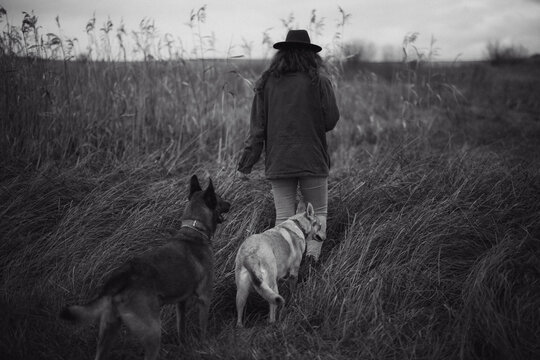 Moody photograph of a woman wearing a hat and a Barbour jacket with two dogs in a field walking away