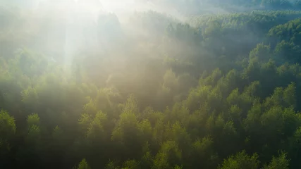 Crédence de cuisine en verre imprimé Matin avec brouillard Aerial view of a misty dawn over the summer wild forest