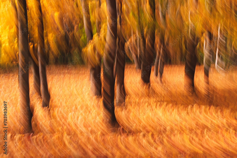 Aufkleber Autumn abstract blurred forest nature. Vivid morning in colorful forest with sun rays through branches of trees. Scenery of nature with sunlight