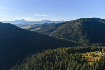 Aerial view of hillside with dark spruce forest trees at fall bright day. Beautiful scenery of wild mountain woodland