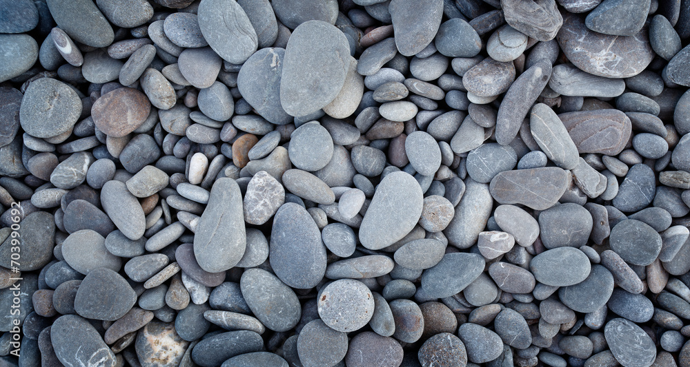 Poster smooth round pebbles texture background. pebble sea beach close-up, dark wet pebble and gray dry peb