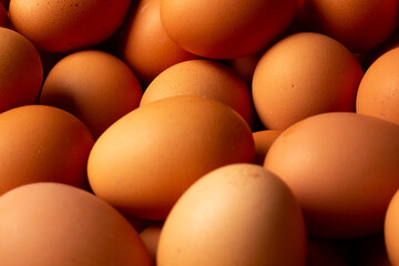 lots of chicken eggs piled up. background of chicken eggs