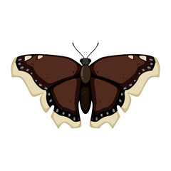 nature butterfly cartoon. blue insect, wing animal, spring fly nature butterfly sign. isolated symbol vector illustration