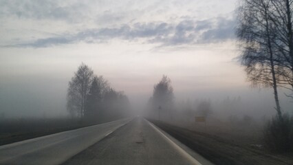 foggy road