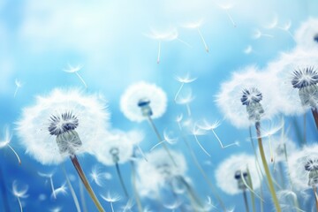  a bunch of dandelions blowing in the wind with a blue sky in the background of the dandelion, with a blue sky in the background.