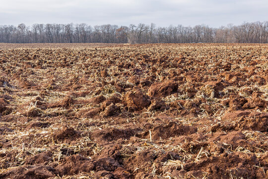 A chisel plowed corn field with heavy red clay soil in the autumn. 