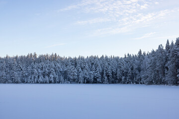 Very cold  January winter day scenery (-21ºC). Sun is shining just above horizon. 