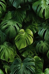 Soft oil painting of cropped photo of banana leave