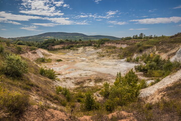 Fototapeta na wymiar Old closed quarry. Puddles in an old quarry. Trees growing over