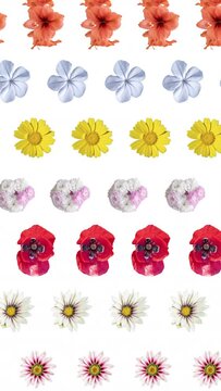 pattern from different flowers cutout