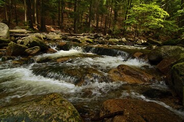 waterfalls on a stream in the forest