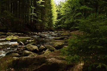 waterfalls on a stream in the forest