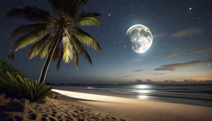 night landscape deserted beach palm tree view of the moon generation ai