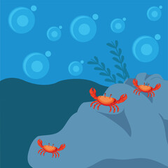 Vector view of sea crab and water bubbles.