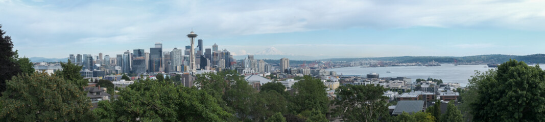 Fototapeta premium landscape with grass and sky