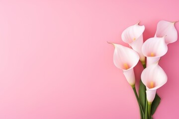  a bouquet of white calla lilies on a pink background with a place for a text or a picture or a logo on the bottom corner of the image.