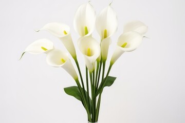  a bouquet of white calla lilies in a green vase on a white background with a few green stems in the center of the vase and a white wall in the background.