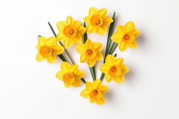  a bouquet of yellow daffodils on a white background, top view, flat lay, flat lay, yellow, daffodils, daffodils, daffodils, daffodils.