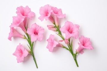  a group of pink flowers sitting on top of a white table next to each other on top of a white surface with a green stem in the middle of the middle.