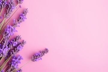  a bunch of lavender flowers on a pink background with a place for a text or an image to put on a card or save for a loved friend's day.